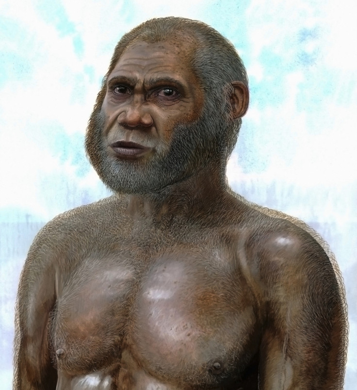 Red Deer Cave people