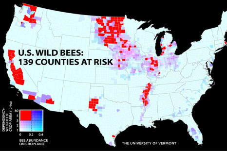 Bee Counties at Risk
