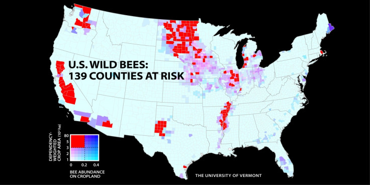 Bee Counties at Risk