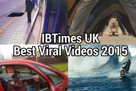 Best viral videos 2015