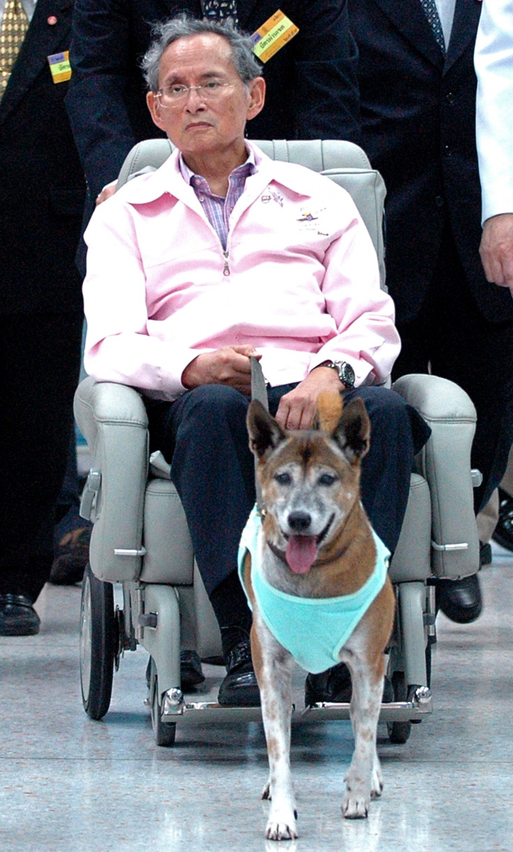 Thai king Bhumipol and his beloved dog