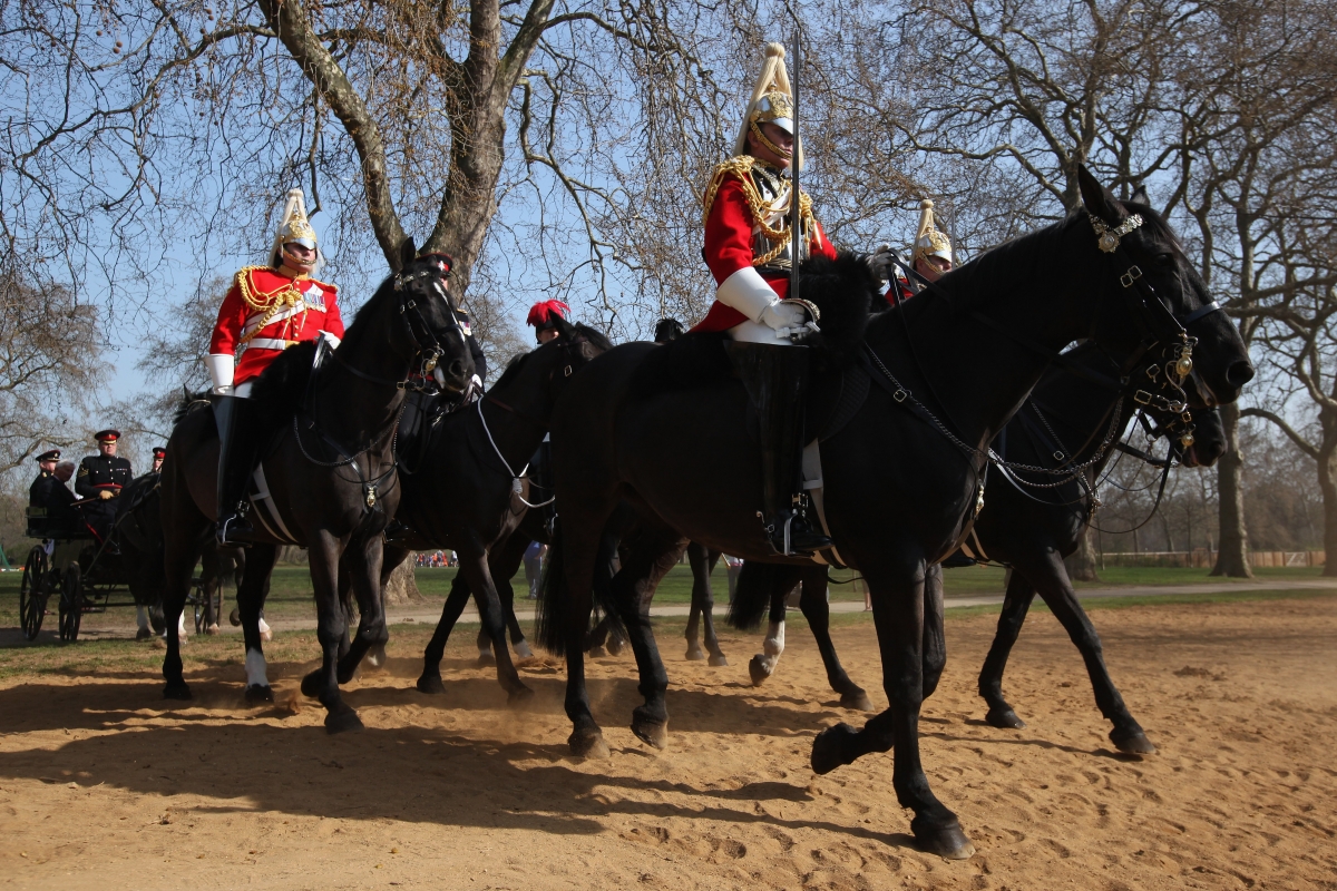 London: Escaped military horses have free rein in Hyde Park as police ...