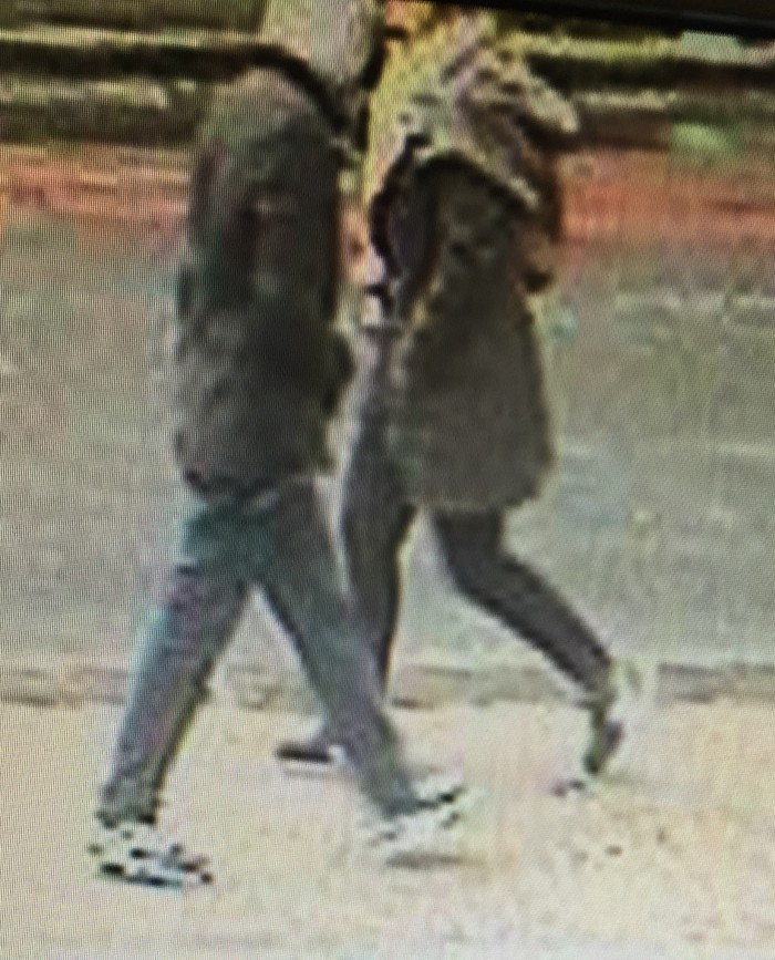 hanwell cemetery robbery
