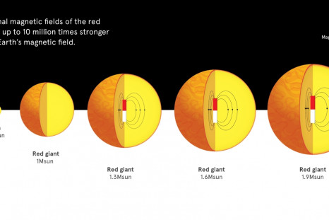 Magnetic fields in red giants