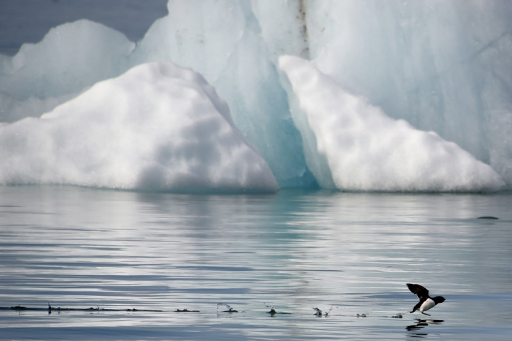 Arctic Ocean