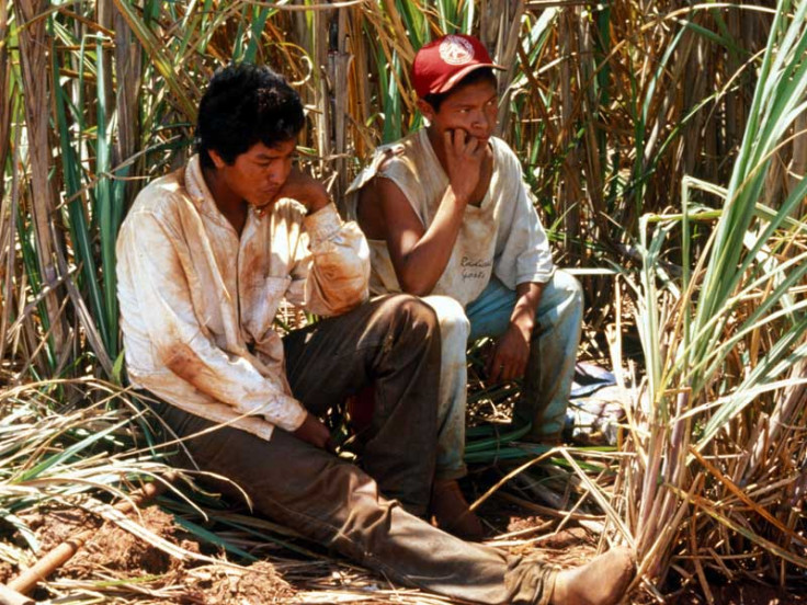 Guarani Kaiowá people of Brazil 