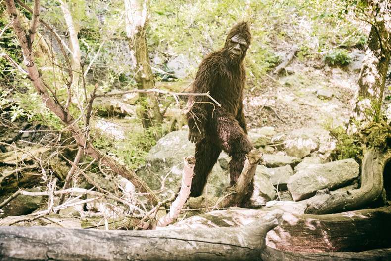 bigfoot could be discovered
