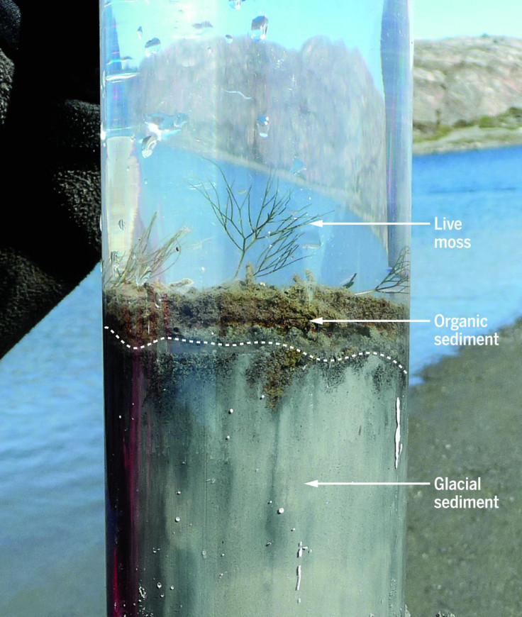 Anthropocene sediment core
