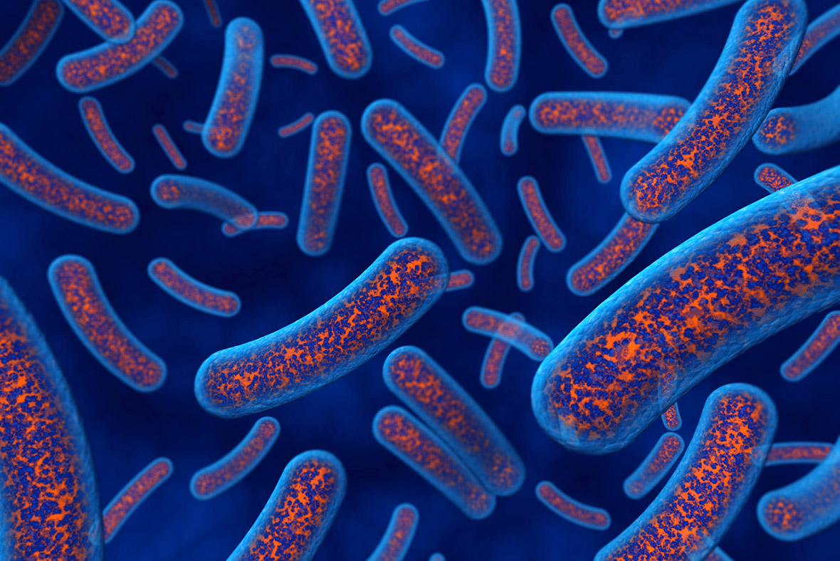 Bacteria in human bodies do not outnumber cells by 10 to one