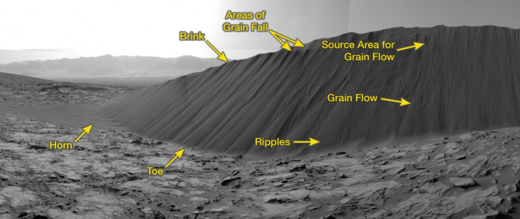 Annotated sand dune