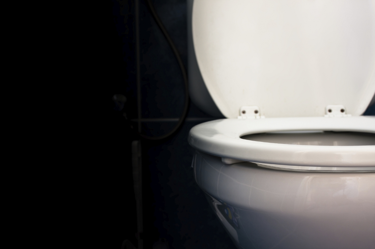 toilet poo transplant