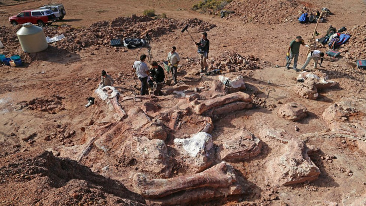 giant titanosaur