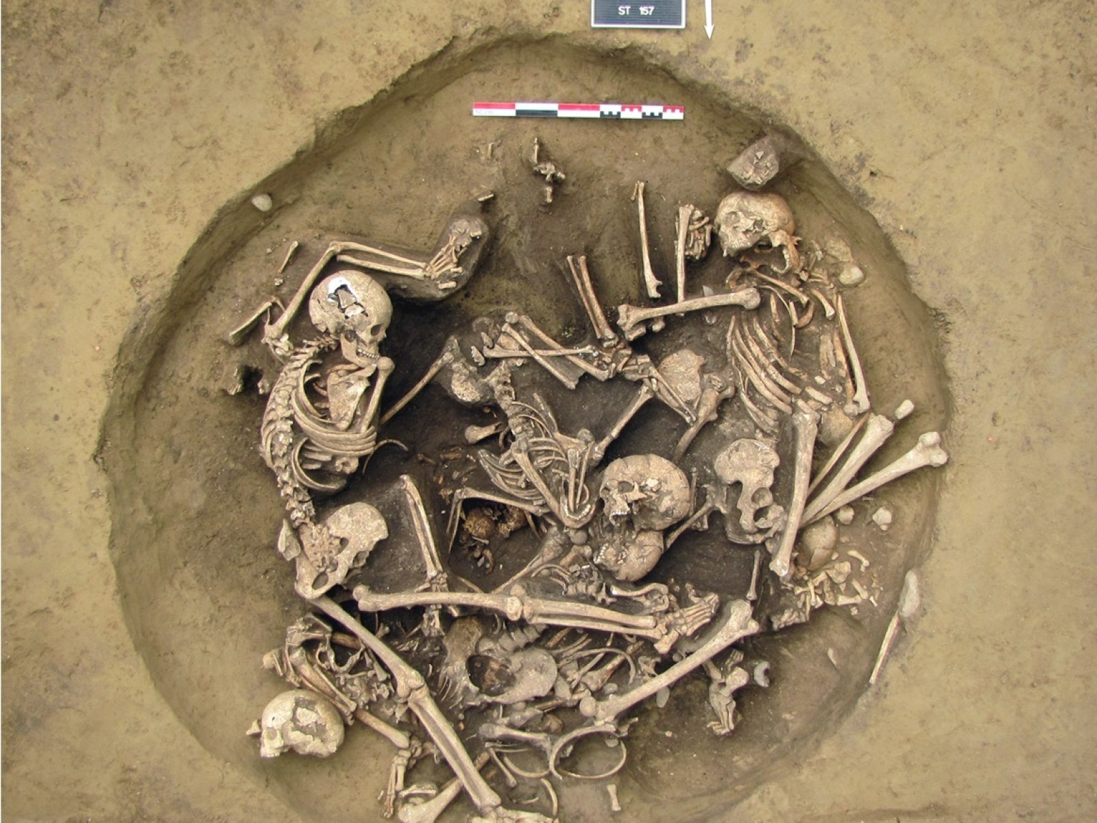 6,500-year-old mystery burial pit full of amputated arms points to extreme violence in Neolithic France | IBTimes UK
