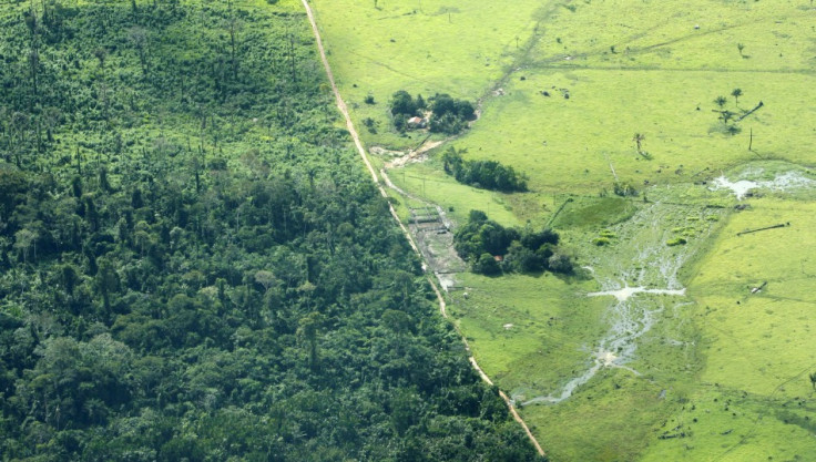 An aerial view of cattle farm is seen in an Amazonian deforested jungle close to Maraba, in Brazil&#039;s central state of Para in this May 3, 2009