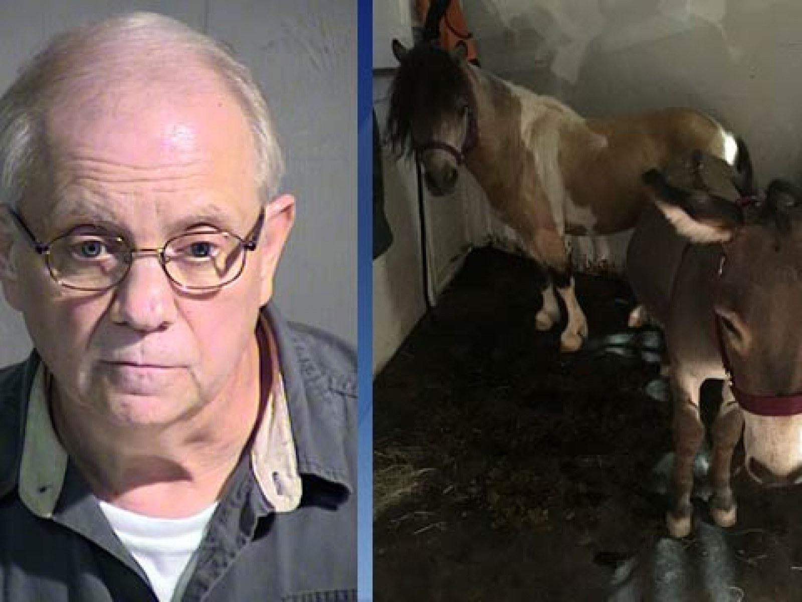 Pennsylvania horse sex sting: Animals not designed as 'sex toys for the perverted' | IBTimes UK Pennsylvania horse sex sting: Animals not designed as 'sex toys for the perverted' | IBTimes UK
