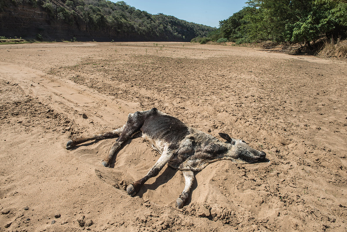 south-africa-crops-fail-and-people-die-from-heatstroke-as-worst