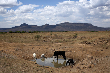 South Africa drought