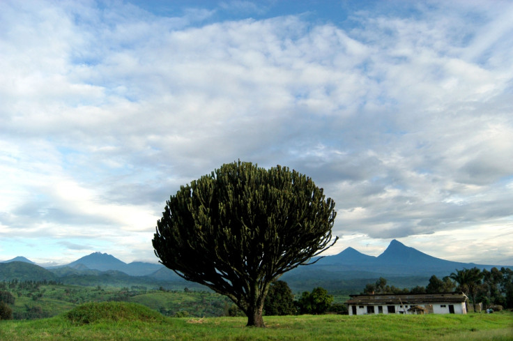 Virunga volcanoes