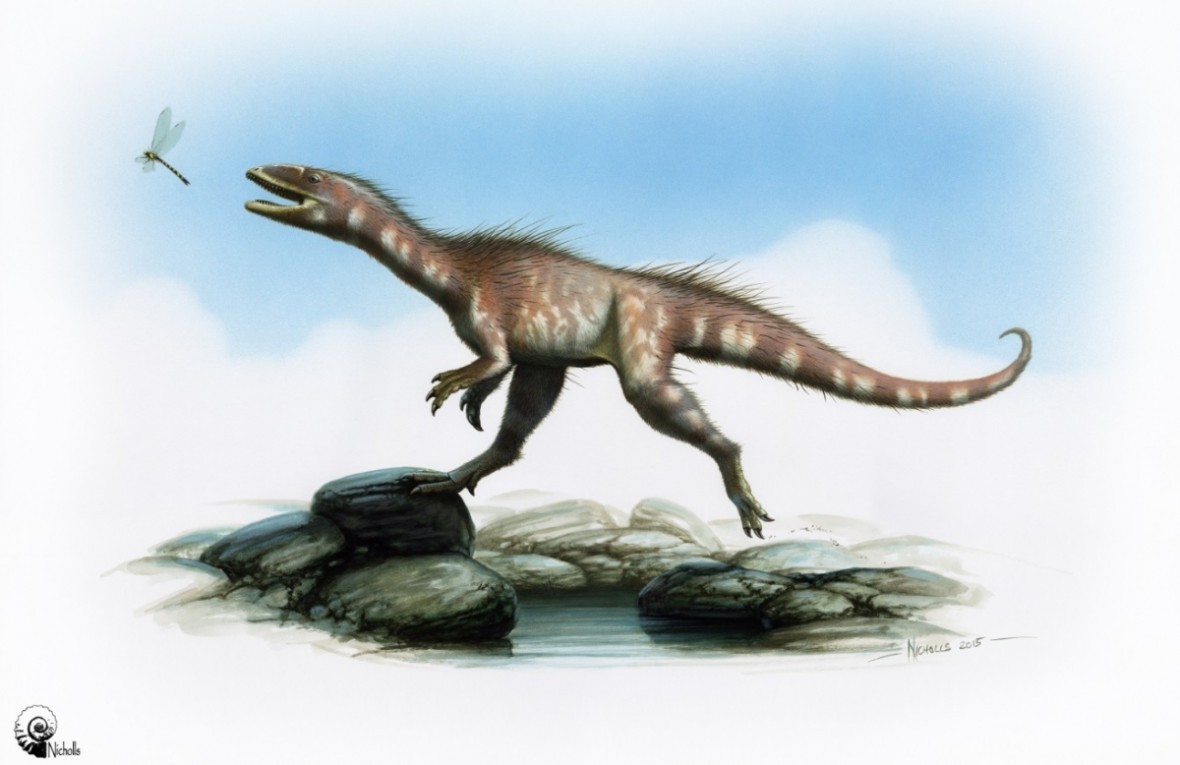 Representation of Dracoraptor hanigani Representation of Dracoraptor hanigani