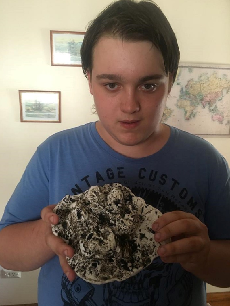 Boy discovers huge paw print of a 'black panther' in Australia | IBTimes UK