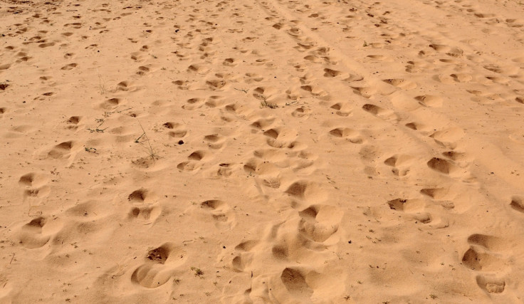 foot prints ( Representative picture )