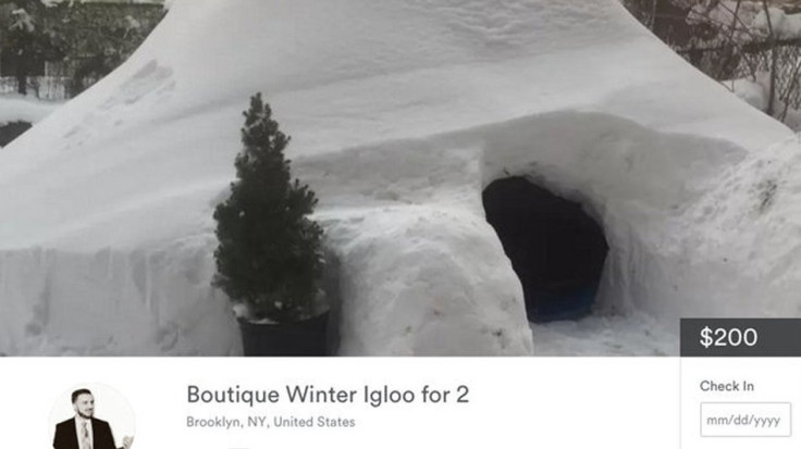 Brooklyn igloo