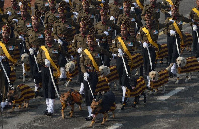 India Republic Day Parade, dogs