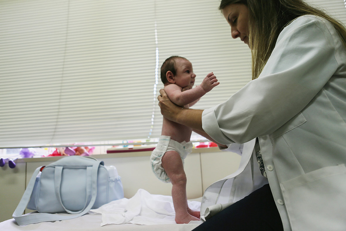 zika brasil