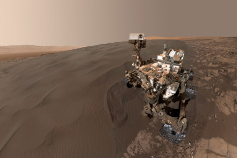 curiosity selfie