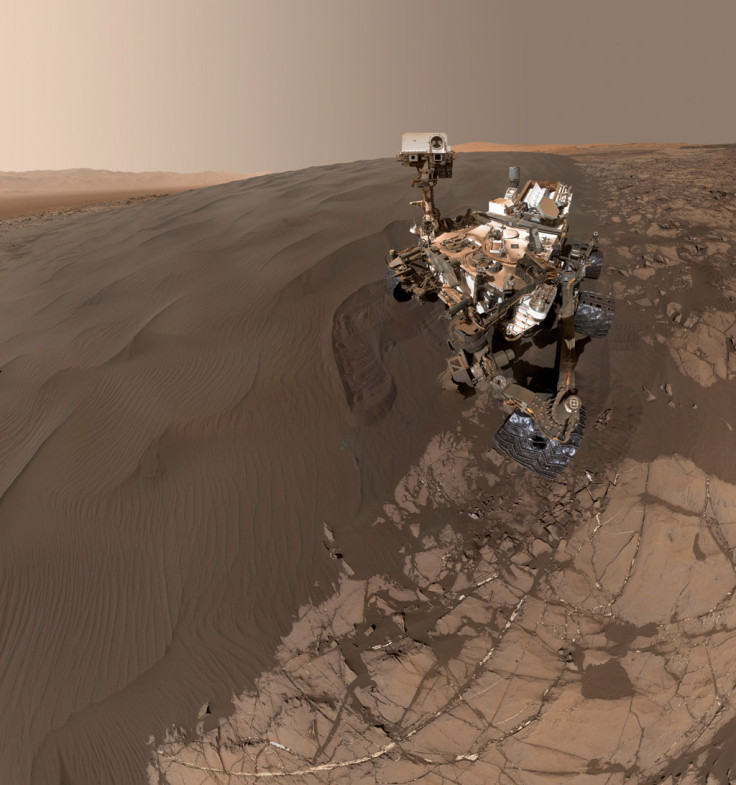 curiosity selfie