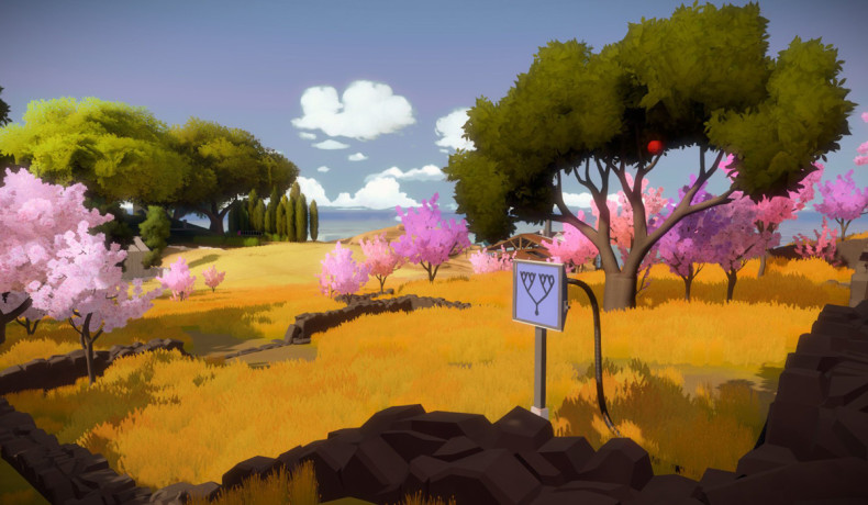 The Witness PS4 PC