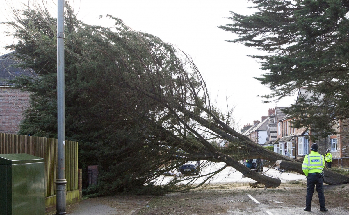 UK Weather What To Do During Severe Gales As Storm Henry Brings Wind 