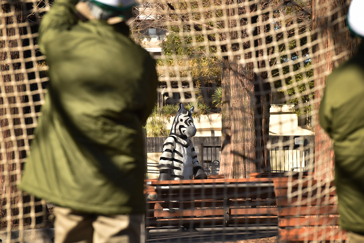 zookeeper drill, tokyo