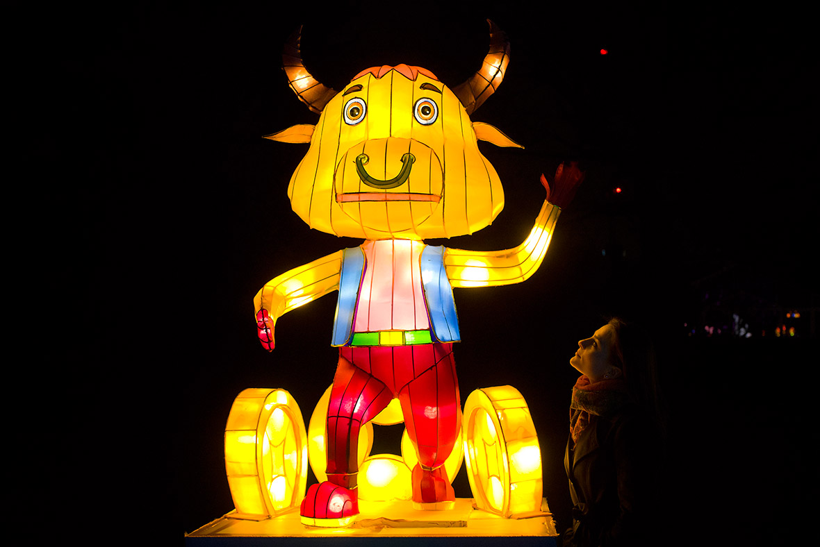 Chiswick Lantern Festival