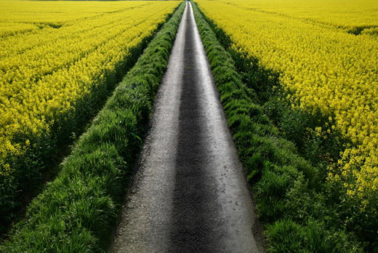 England countryside