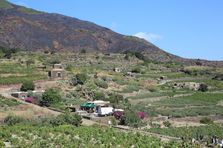 A Bigger Splash Movie - Pantelleria