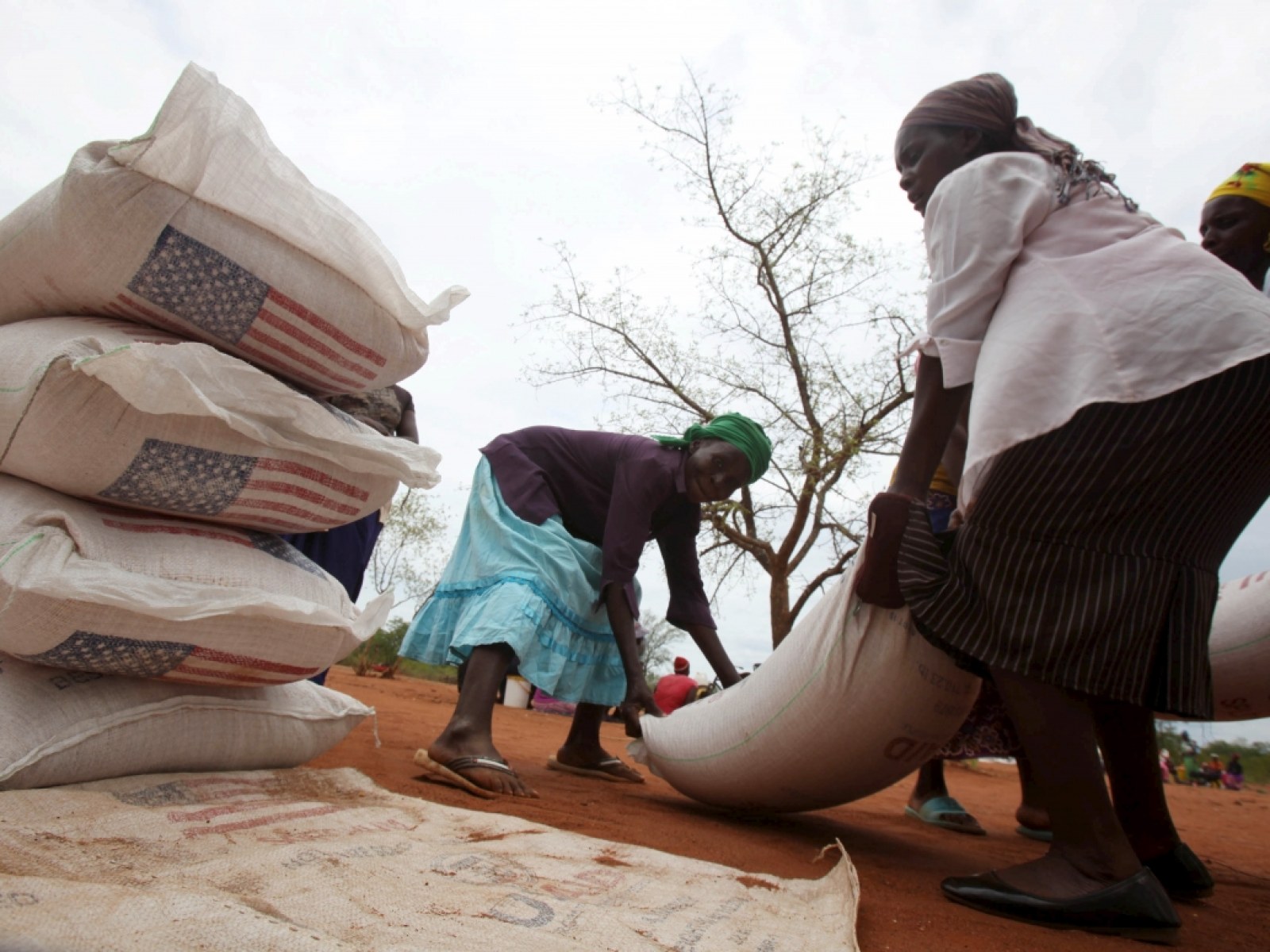 Zimbabwe Mugabe Urged To Invest In Agriculture To Feed 2 5m Starving People Due To El Nino Zimbabwe Mugabe Urged To Invest In Agriculture To Feed 2 5m Starving People Due To El Nino
