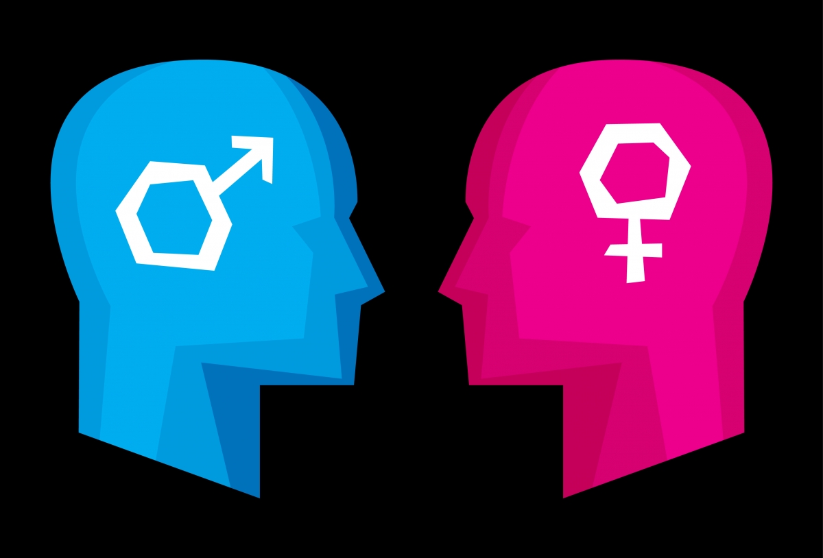 Are male and female brains really different?