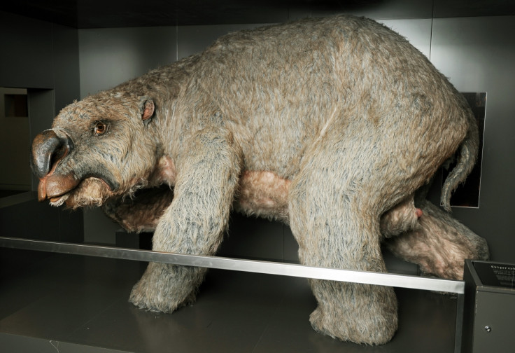 Diprotodon