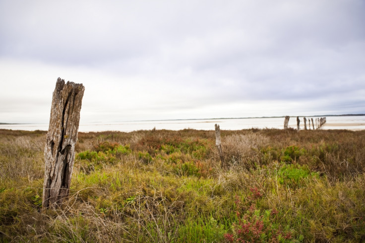 Backpakers kidnapped Coorong National Park 