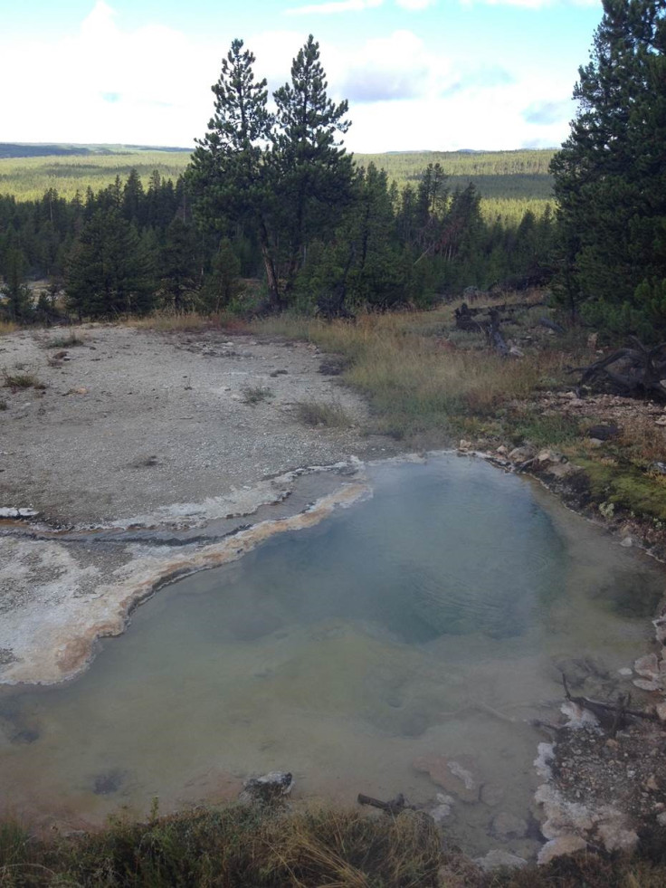 Yellowstone National Park