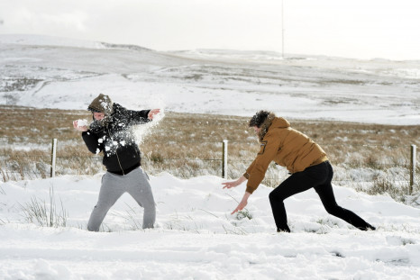 Youths in Belfast have snowball fight