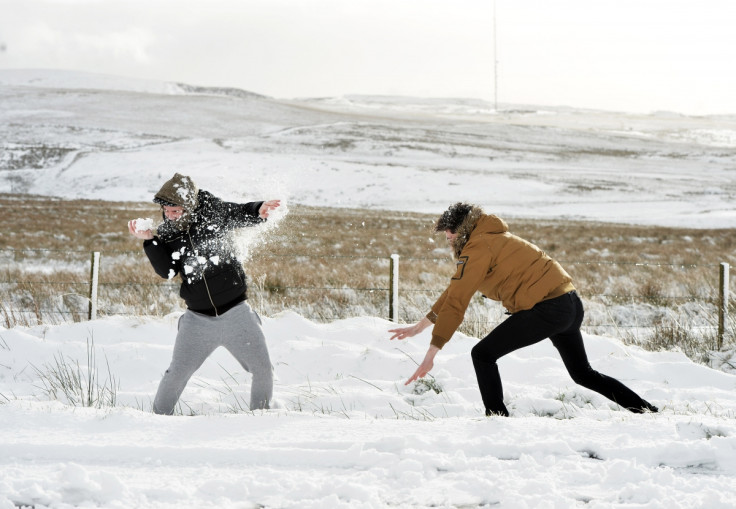 Youths in Belfast have snowball fight