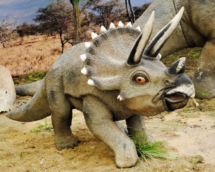 Triceratops