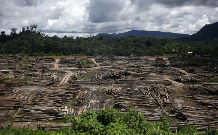 Sarawak Malaysia logging