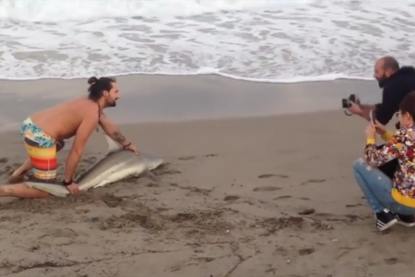 Man drags a shark to beach