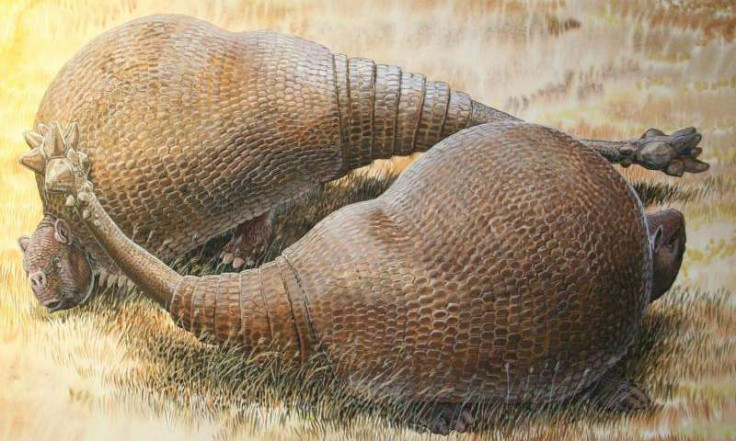 Glyptodonts, ancient ancestors of armadillos