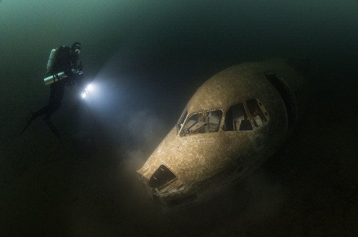 Underwater Photographer of the Year 2016