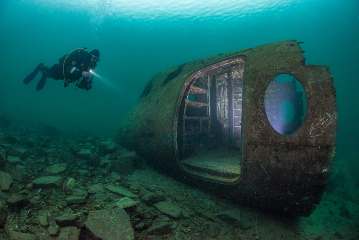 Underwater Photographer of the Year 2016