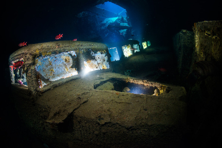 Underwater Photographer of the Year 2016